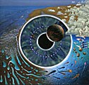 Pink Floyd - Pulse [Slipcase]
