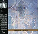 John Zorn/Masada - Voices In The Wilderness: Masada Anniversary Edition Vol. 2