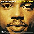 Norman Brown - After The Storm