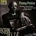 Pinetop Perkins - Born in the Delta
