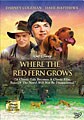 Where The Red Fern Grows (DVD)