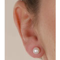 DaVonna 14k Gold Akoya Cultured Pearl Earrings (5.5-6 mm)