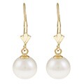 DaVonna 14k Gold Cultured Akoya Pearl Earrings (8-8.5 mm)