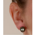 14k Gold Black Tahitian Cultured Pearl Earrings (10-10.5 mm)