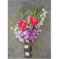 Dendrobium Orchid/ Anthurium Assortment (12 Stems)