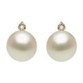 DaVonna 14k Gold 7-7.5mm Akoya Pearl and Diamond Stud Earring with Gift Box