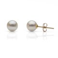 DaVonna 14k Gold White Perfect Round Akoya Pearl Stud Earrings (5 mm )