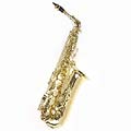 Band/Orchestra ABS Hard-shell-case Alto Saxophone Package with Strap