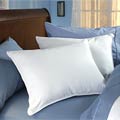 Down on Top Pillows (Set of 2)