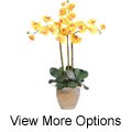 Triple-stem Phalaenopsis Silk Orchid Plant