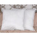 Down Alternative European Square Pillows (Set of 2)