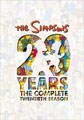 The Simpsons: The Complete Twentieth Season (DVD)