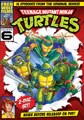 Teenage Mutant Ninja Turtles - Season 6 (DVD)