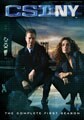 CSI: New York - The Complete First Season (DVD)