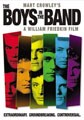 The Boys in the Band (DVD)