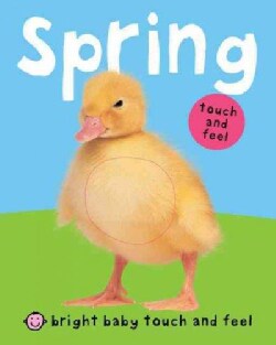 Spring (Board book)