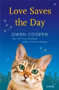 Love Saves the Day (Hardcover)
