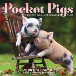 Pocket Pigs 2013 Calendar