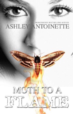 Moth to a Flame (Paperback)