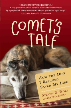 Comet's Tale: How the Dog I Rescued Saved My Life (Hardcover)