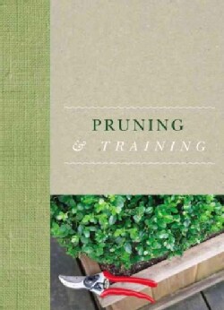 Pruning & Training (Hardcover)