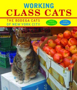 Working Class Cats: The Bodega Cats of New York City (Hardcover)