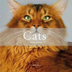 Cats (Hardcover)