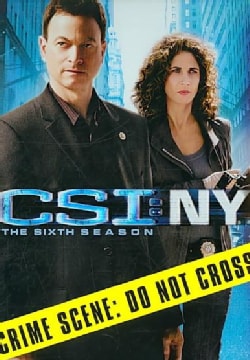 CSI: NY: The Complete Sixth Season (DVD)