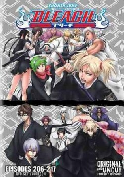Bleach Box Set 14 (Uncut) (DVD)
