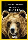 America's Greatest Animals (DVD)