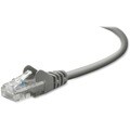 Award winning websites on pro tools digi Belkin Cat5e Network Cable