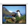 Electrol Projection Screen