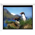 Draper Electrol Projection Screen