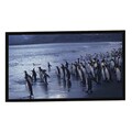 Fixed Frame Projection Screen