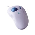Ergoguys A4 Tech Dual Scrolling Wheels TrackBall