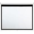 Draper Accuscreens Manual Projection Screen