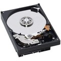 IBM 49Y1866 600 GB 3.5" Internal Hard Drive