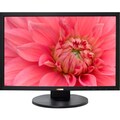 DoubleSight Displays DS-245V 24" LCD Monitor - 16:10 - 5 ms