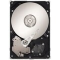 Seagate SV35.5 ST3500411SV 500 GB 3.5" Internal Hard Drive