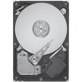 Seagate Savvio 10K.5 ST9600105SS 600 GB 2.5" Internal Hard Drive