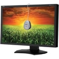NEC Display MultiSync P241W 24" CCFL LCD Monitor - 16:10 - 8 ms