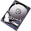 IBM 81Y9886 3 TB 3.5" Internal Hard Drive