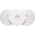 DataLocker SecureDisk DLDVD100 DVD Recordable Media - DVD-R - 4.70 GB