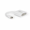 StarTech.com Mini DisplayPort to DVI Video Adapter Converter - White