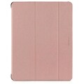 iPad Case