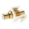 Steren RCA Keystone Modular Gold Insert