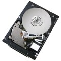 Hitachi Ultrastar 10K300 147GB Internal Hard Drive (Refurbished)