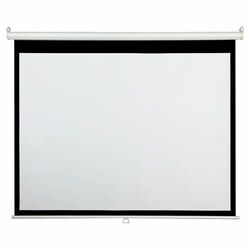 Draper AccuScreen Manual Projection Screen
