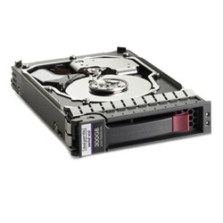 HP SAS 300 Internal Hard Drive