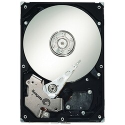 Seagate Barracuda ES.2 ST3250310NS Hard Drive